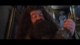 /album/hagrid-scene/hagridscene7-jpg/