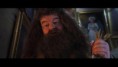 /album/hagrid-scene/hagridscene8-jpg/