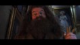 /album/hagrid-scene/hagridscene9-jpg/